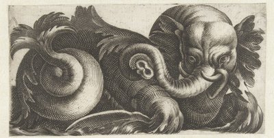 Elefante marinho com orelhas de folhas Frísios com monstros marinhos (título da série) de Giovanni Andrea Maglioli