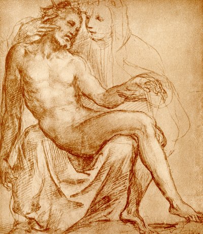 pena de Giovanni Antonio Bazzi Sodoma