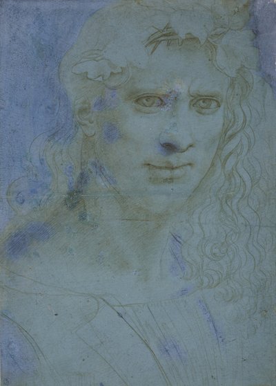 Busto de jovens coroado de espinhos e brotos de videira, c. 1495 (ponta de metal em papel preparado azul) de Giovanni Antonio Boltraffio