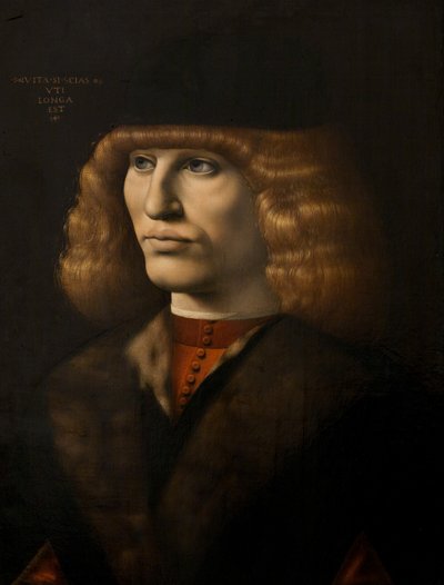 Retrato de um homem jovem, c.1500 (óleo sobre painel) de Giovanni Antonio Boltraffio