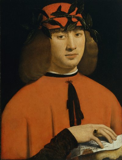 Retrato de um jovem, c.1500 (óleo no painel) de Giovanni Antonio Boltraffio