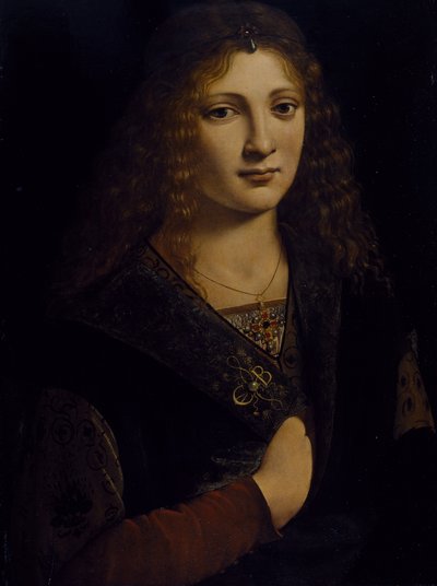 Retrato de um homem jovem, possivelmente Girolamo Casio, c.1500 (óleo sobre painel de madeira) de Giovanni Antonio Boltraffio