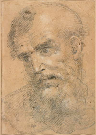 Cabeça de um homem barbudo (frente); Estudo para uma conversa sacra (verso) de Giovanni Antonio Sogliani