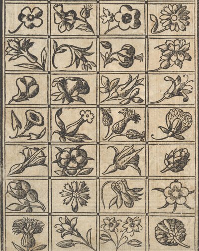 Exemplo de recammi, página 10 verso, 1530. de Giovanni Antonio Tagliente