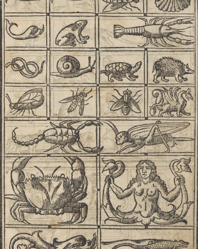 Exemplo de recammi, página 11 reto, 1530. de Giovanni Antonio Tagliente