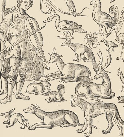 Exemplo de recammi, página 12 verso, 1530. de Giovanni Antonio Tagliente