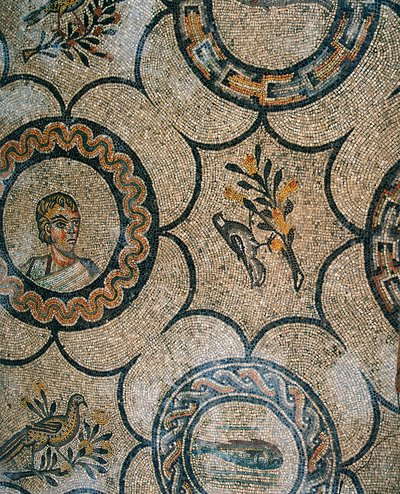 Detalhe do piso da primeira Basílica Cristã de Aquileia, Udine de Phillipe de Marlier