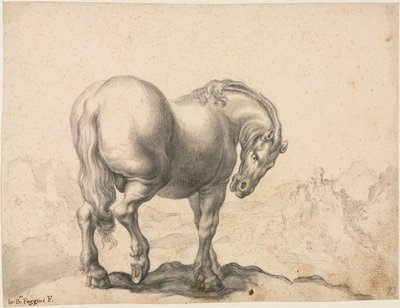 Estudo de um garanhão de Giovanni Battista Foggini