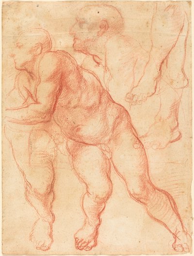 Estudos de um nu masculino de Giovanni Battista Naldini