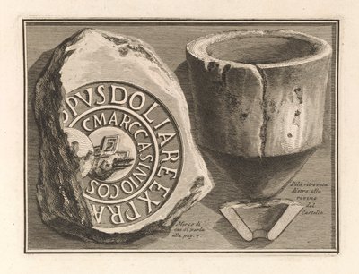 As Ruínas do Castelo do de Giovanni-Battista Piranesi