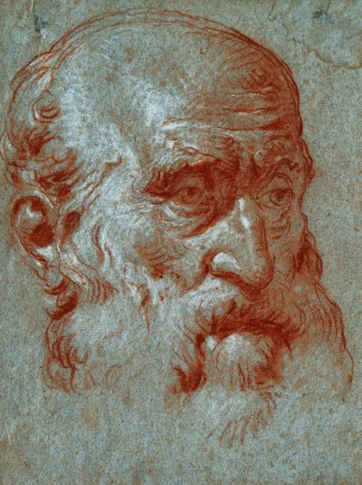 Chefe de uma Patrícia veneziana, Cara de três quartos, de Giovanni Battista Tiepolo