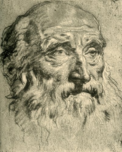 Cabeça de um homem idoso, meados do século XVIII, 1928 de Giovanni Battista Tiepolo