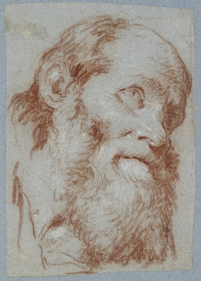 Cabeça, de, um, antigas, homem barbudo, (red, chalk, toged, com, branca, ligado, desvanecido, gray-blue, paper) de Giovanni Battista Tiepolo