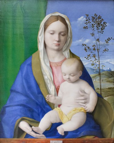 Madona e Menino, c.1500 (óleo sobre painel) de Giovanni Bellini