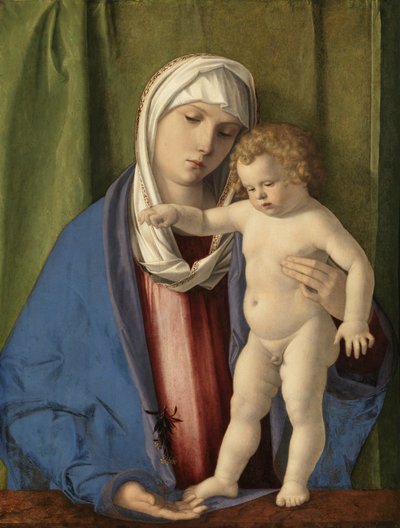 Virgem e Menino, c.1488-90 (óleo sobre painel) de Giovanni Bellini