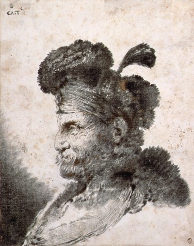 Cabeça de um oriental de perfil à esquerda de Giovanni Benedetto Castiglione