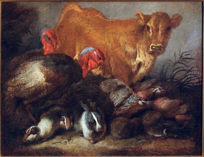 Estudo de animais Vaca, peru, coelho, pintura de Giovanni Benedetto Castiglione dit il Grechetto (1610-1665) Dim. 30x38,5 cm Genes, Musei di Strada Nuova de Giovanni Benedetto Castiglione