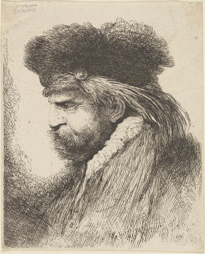 Homem barbudo com gorro de pele, virado para a esquerda de Giovanni Benedetto Castiglione