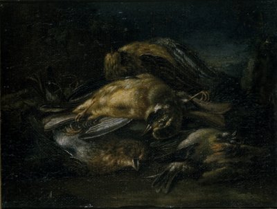Pássaro Morto, 1664 de Giovanni Benedetto Castiglione
