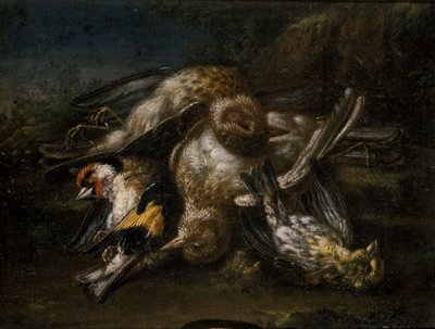 Aves Mortas (óleo sobre madeira de tília) de Giovanni Benedetto Castiglione