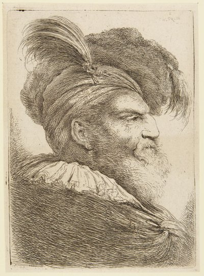 Cabeça de um homem barbudo com chapéu de plumas de Giovanni Benedetto Castiglione
