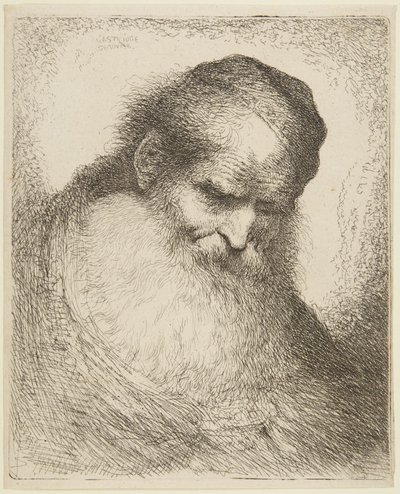 Cabeça de um velho barbudo de Giovanni Benedetto Castiglione