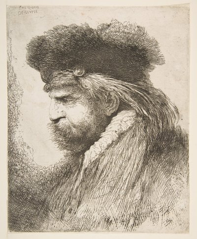 Cabeça de um velho virado para a esquerda, da série Large Large Heads, ca. 1645-50. de Giovanni Benedetto Castiglione