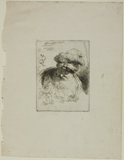 Velho com turbante de Giovanni Benedetto Castiglione