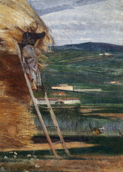 Palheiro, um camponês em uma escada de Giovanni Boldini