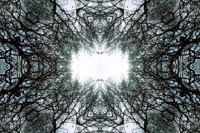 Unnatural 101 (foto manipulada digitalmente) de Giovanni Cafagna