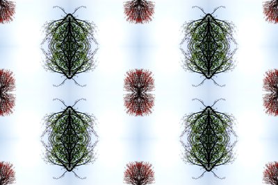Unnatural 110 (foto manipulada digitalmente) de Giovanni Cafagna