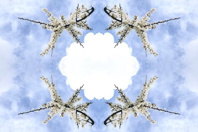 Unnatural 115 (foto manipulada digitalmente) de Giovanni Cafagna