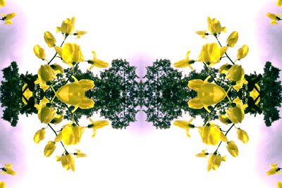 Não natural 151.2 (foto manipulada digitalmente) de Giovanni Cafagna