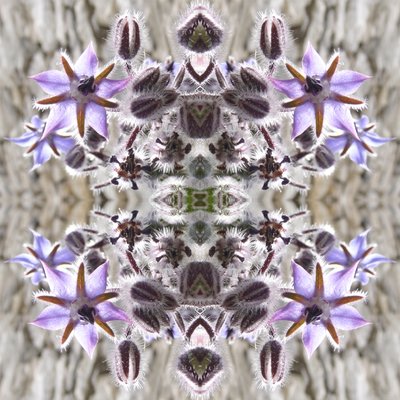 Unnatural 159 (foto manipulada digitalmente) de Giovanni Cafagna