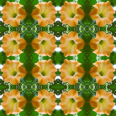 Unnatural 171.1 (foto manipulada digitalmente) de Giovanni Cafagna