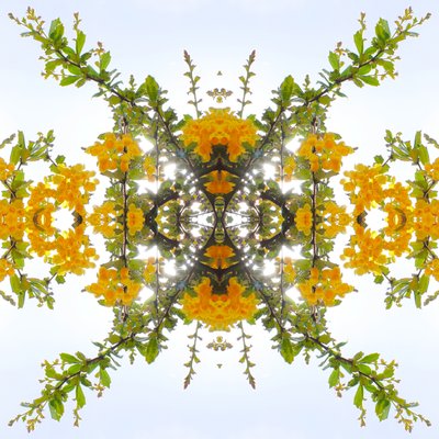 Unnatural 175 (foto manipulada digitalmente) de Giovanni Cafagna