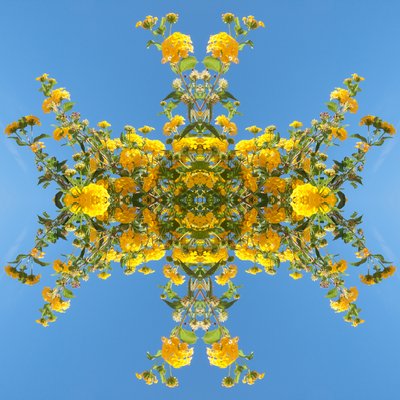 Unnatural 193 (foto manipulada digitalmente) de Giovanni Cafagna