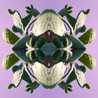 Unnatural 196 (foto manipulada digitalmente) de Giovanni Cafagna