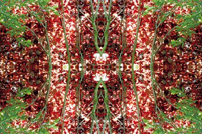 Não-natural 23 (foto manipulada digitalmente) de Giovanni Cafagna