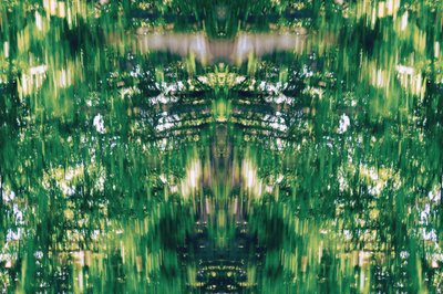 Não natural 31 (foto manipulada digitalmente) de Giovanni Cafagna
