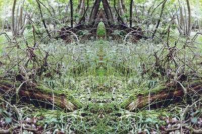 Não natural 33 (foto manipulada digitalmente) de Giovanni Cafagna