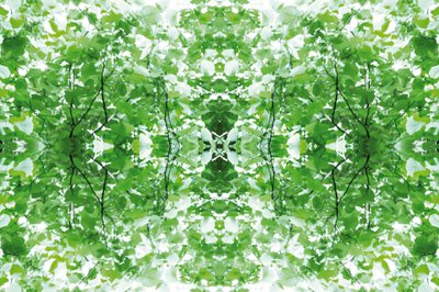 Não natural 34 (foto manipulada digitalmente) de Giovanni Cafagna