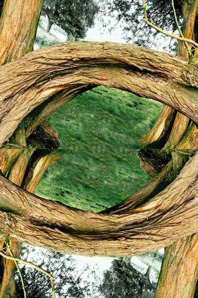 Não natural 37 (foto manipulada digitalmente) de Giovanni Cafagna
