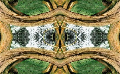Não natural 37 (foto manipulada digitalmente) de Giovanni Cafagna
