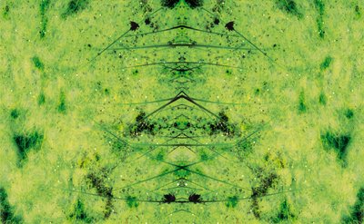 Não natural 3 (foto manipulada digitalmente) de Giovanni Cafagna