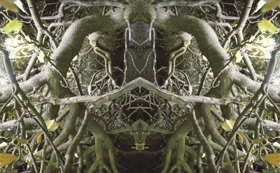 Não-natural 41 (foto manipulada digitalmente) de Giovanni Cafagna
