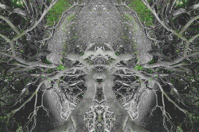 Não-natural 42 (foto manipulada digitalmente) de Giovanni Cafagna