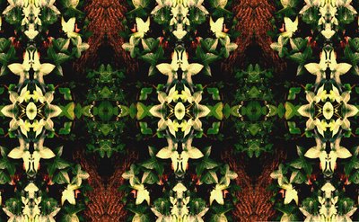 Unnatural 43 (foto manipulada digitalmente) de Giovanni Cafagna