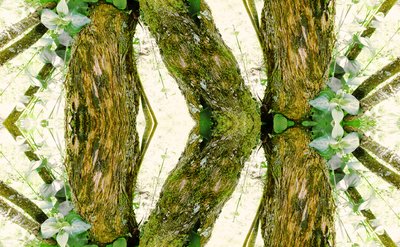 Não natural 45 (foto manipulada digitalmente) de Giovanni Cafagna