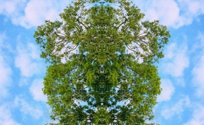 Não-natural 46 (foto manipulada digitalmente) de Giovanni Cafagna